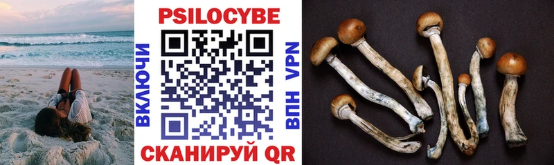 Купить где  Кирово-Чепецк  Галлюциногенные грибы Psilocybine cubensis 